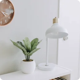 Catagory Product Images